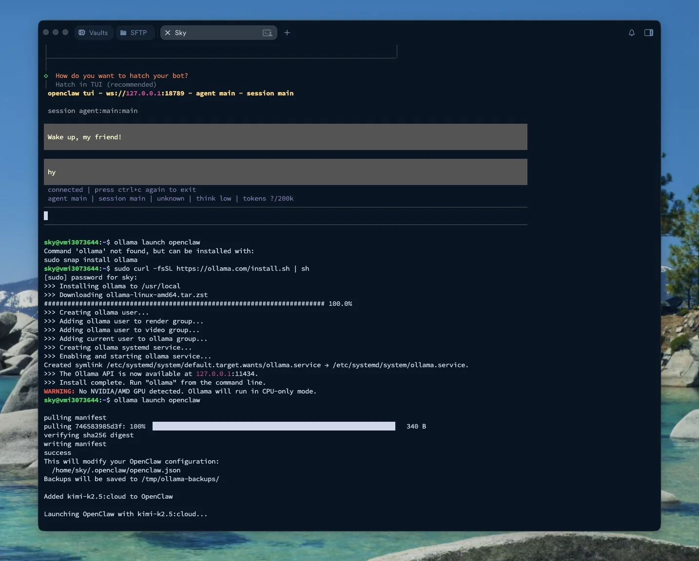 Image 5 for Configurare OpenClaw cu Ollama și modelul kimi-k2.5:cloud